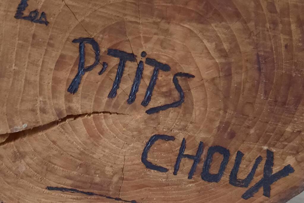 Gite Les Ptits Choux Saint-Quentin-Lamotte-Croix-au-Bailly المظهر الخارجي الصورة